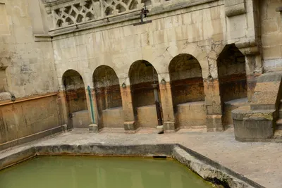 DSC_2674 (Large).JPG